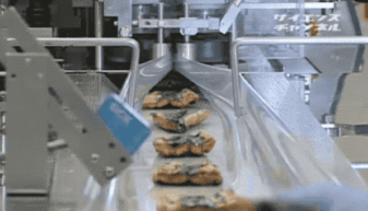 蒲燒鰻魚的工業(yè)化生產(chǎn) 從傳統(tǒng)技藝到現(xiàn)代流水線